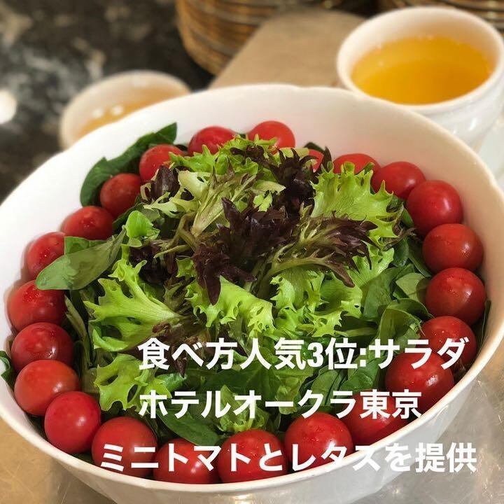 長野県産直 田宮ミニトマト 約20kg バラ 甘くて味が濃い｜食品