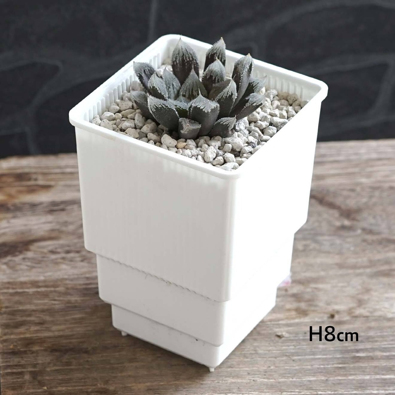 Meshpot HIGH 10cm ホワイト