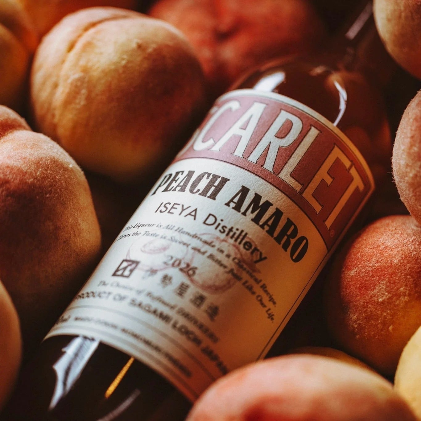 伊勢屋酒造 スカーレット ピーチアマーロ 2026 / SCARLET PEACH AMARO
