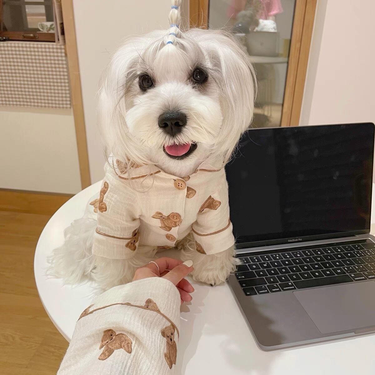 即納 1 3日でお届け 愛犬とペアルックが出来る ベアー ルームウェア ワンピース パジャマ Ey0607 Eyes Line アイズライン 犬服 ドッグウェア