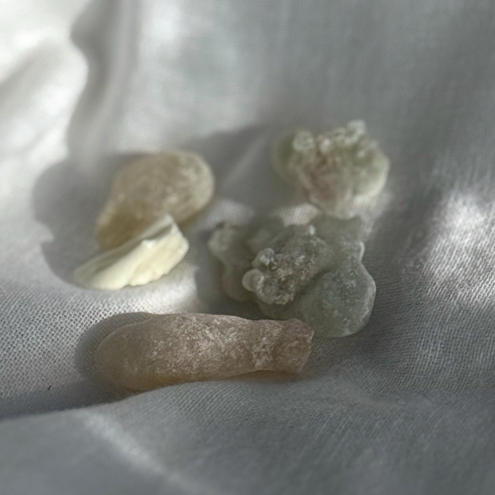 FRANKINCENSE / 樹脂香 ロイヤルグリーン リフィル 30g | joscille