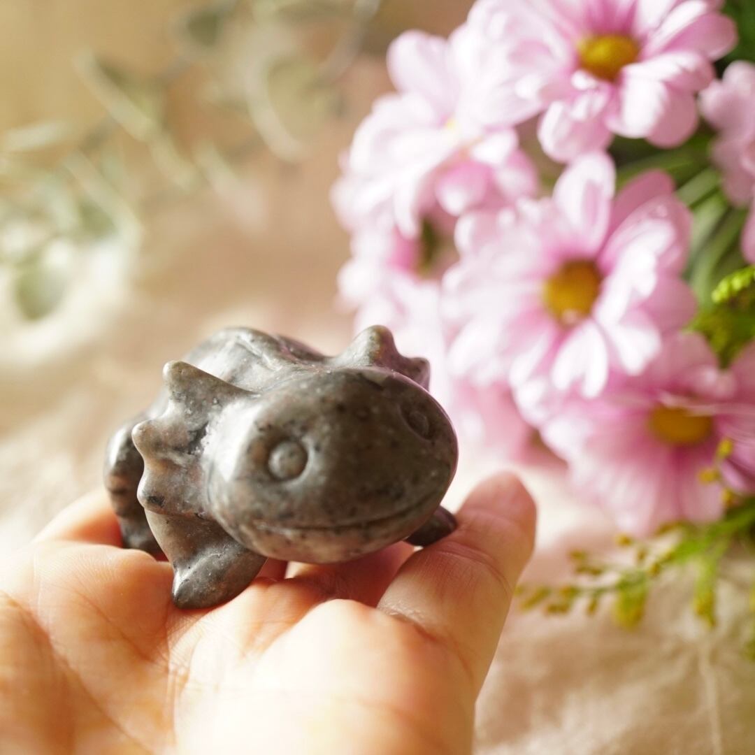 【ユーパライト】再び冒険に出たサラマンダー