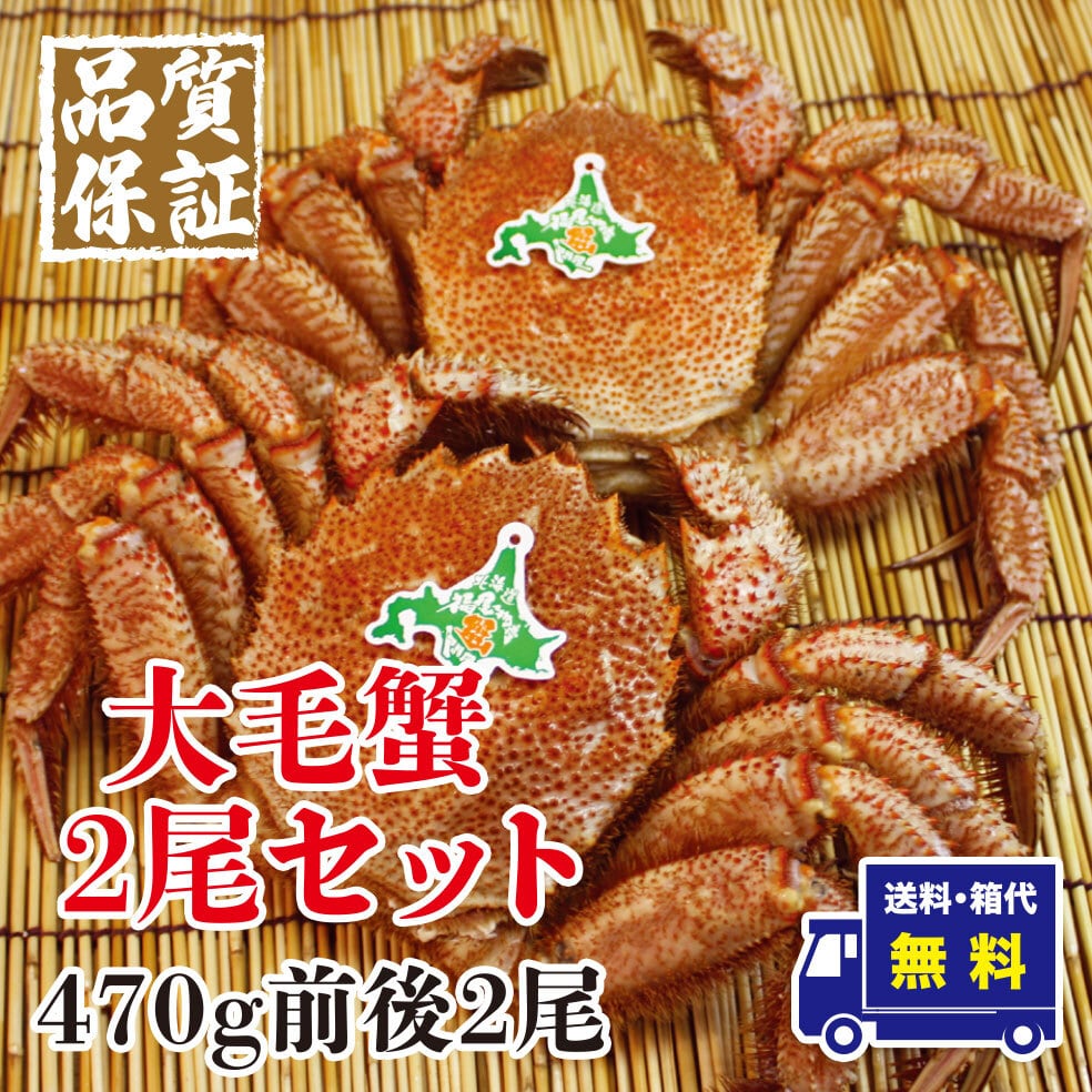 冷凍毛蟹　北海道産　大毛蟹2尾セット　470g前後【送料・箱代無料】　福屋物産株式会社