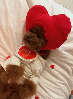 予約【tak!tak!tak!tak!】Heart Hat (Red)