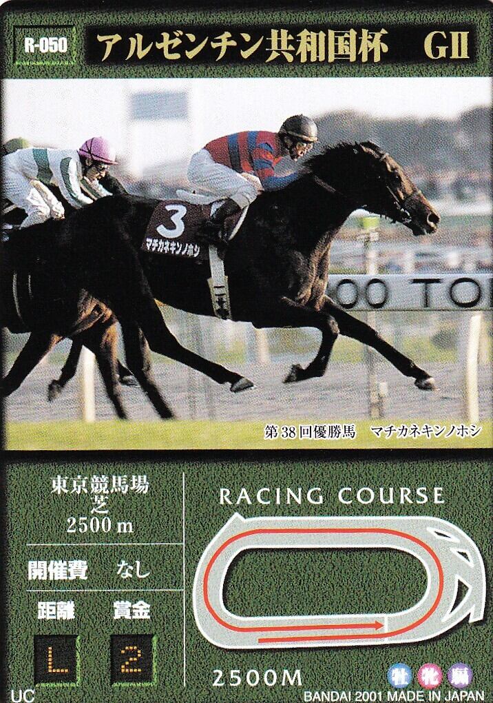 サクラケイザンオー：第57回菊花賞出走馬「サラブレッドカード 96年