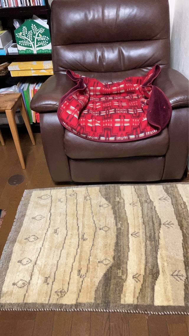 KTD様、ありがとうございます。【No.105】Old Gabbeh　オールドギャッベ　絨毯クエスト66【No.1】で紹介