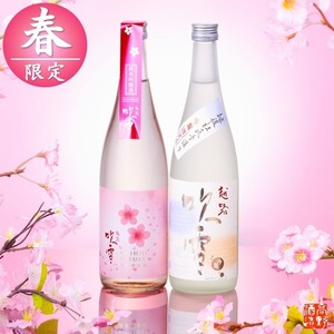 【春限定】越路吹雪 純米吟醸 春ボトル 吟醸酒 飲み比べセット 720ml×2本 日本酒 新潟 高野酒造