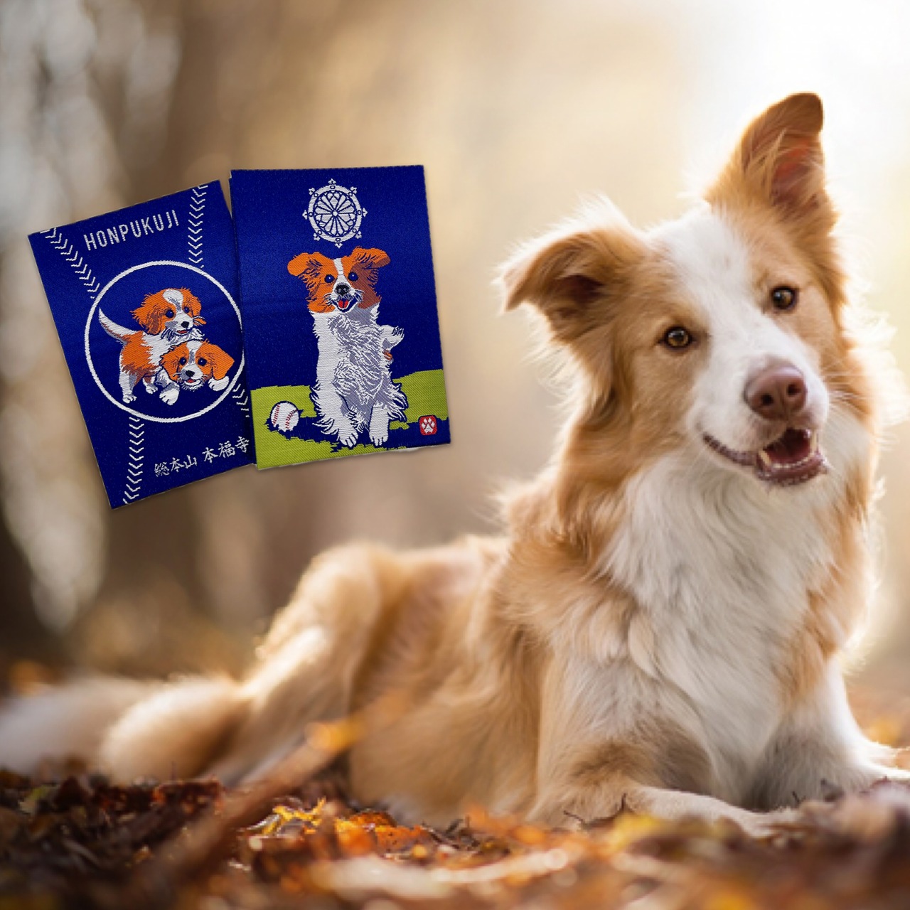 癒しの犬ワンちゃん 本福寺オリジナル御朱印帳
