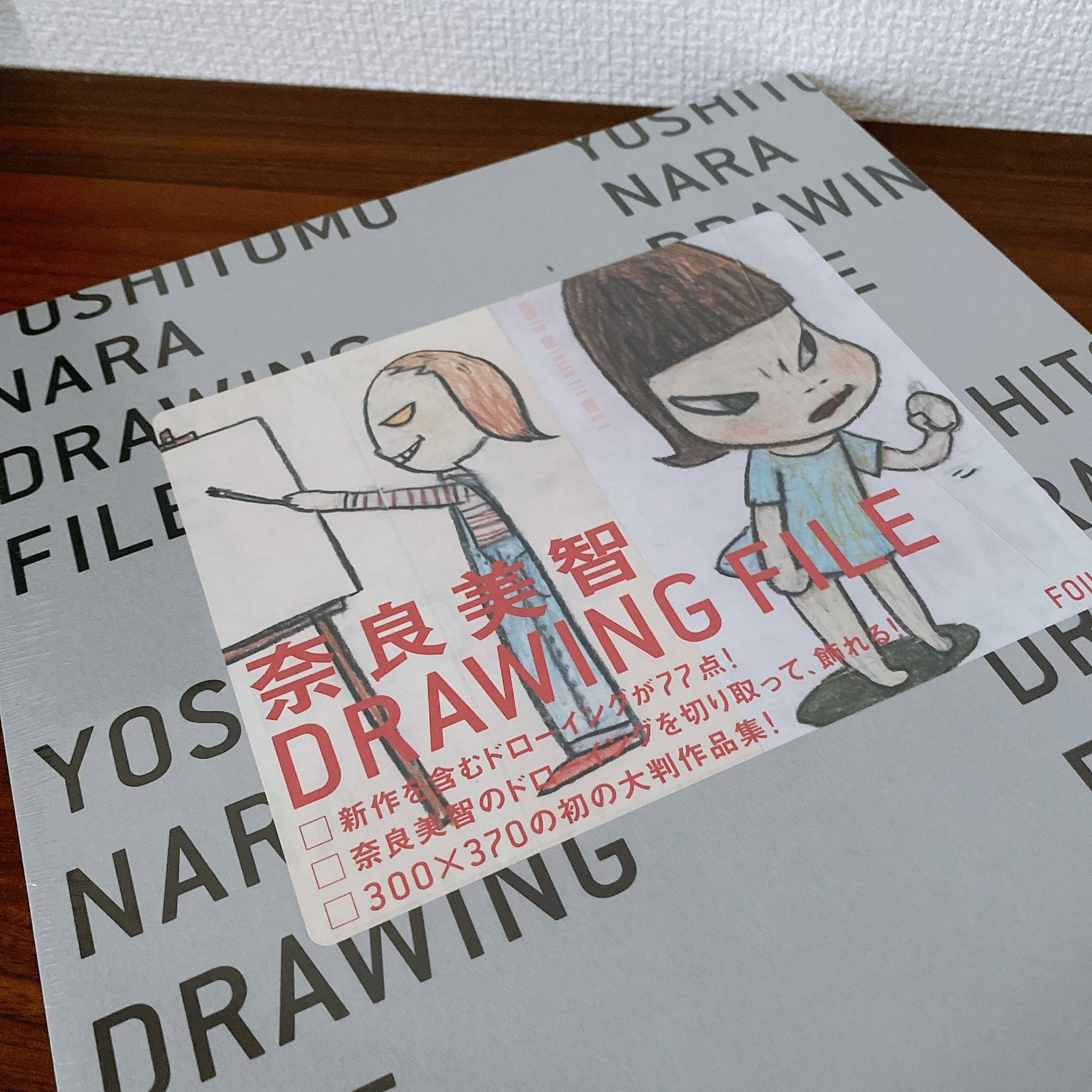 奈良美智 Yoshitomo Nara DRAWING FILE ドローイング ファイル | deteru