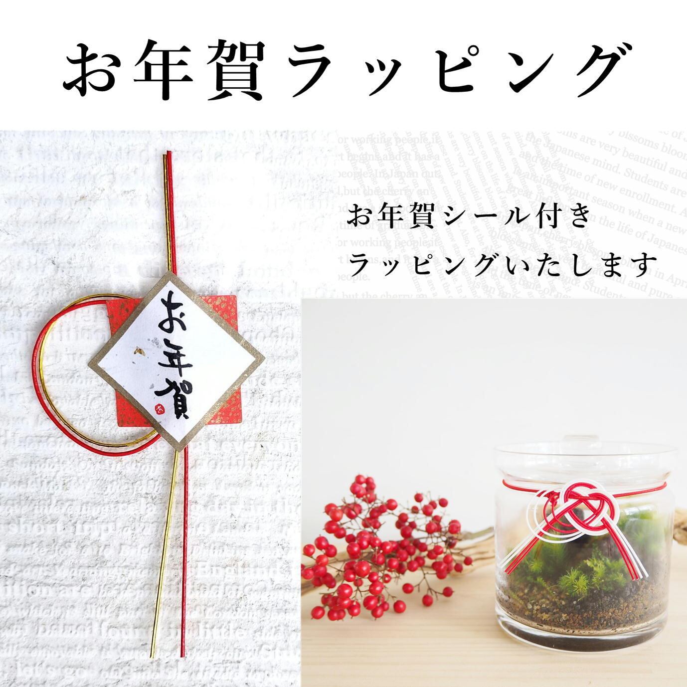 ミニチュアの世界】日本庭園の苔テラリウム シリンダー | 苔テラリウム