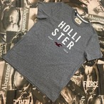 HOLLISTER　MENS　Ｔシャツ　Ｌサイズ