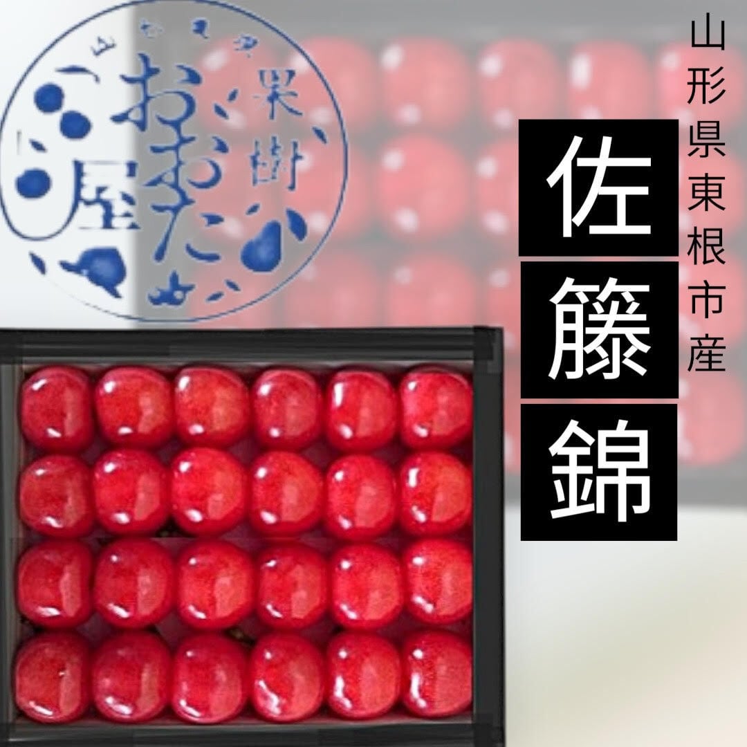 品番508 佐藤錦 24粒(チョコ箱) Lサイズ | 果樹 おおた屋