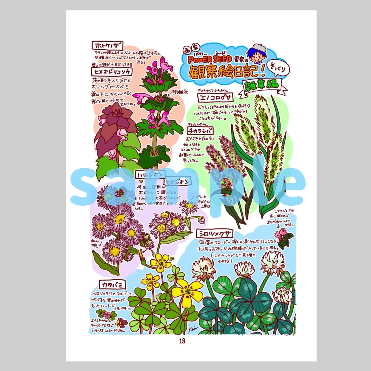 イラスト集【POWER SEEDのぺったんこ植物図鑑】 | POWER SEEDのSHOP
