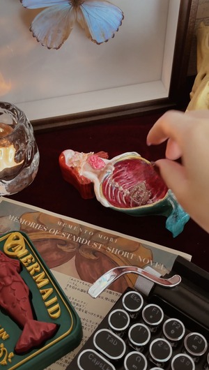 人魚の缶詰　デコレーショントレイ
