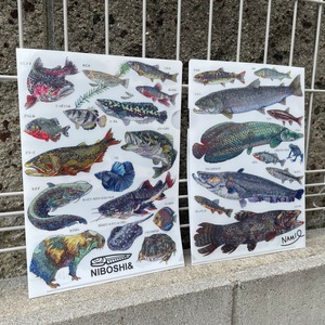 【クリアファイル】淡水魚たち(2023)【A4サイズ】