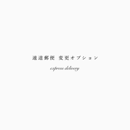 { option } 速達郵便 変更オプション