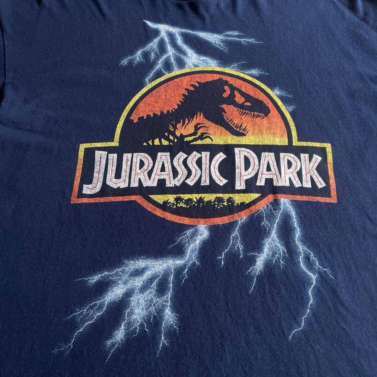 jurassic park thunder 90s vintage tシャツ