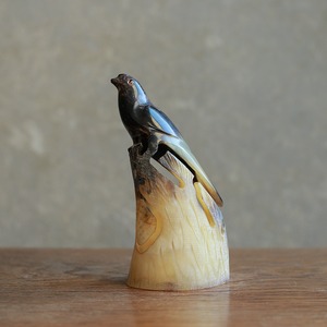 水牛の角から生まれた、美しい鳥 2