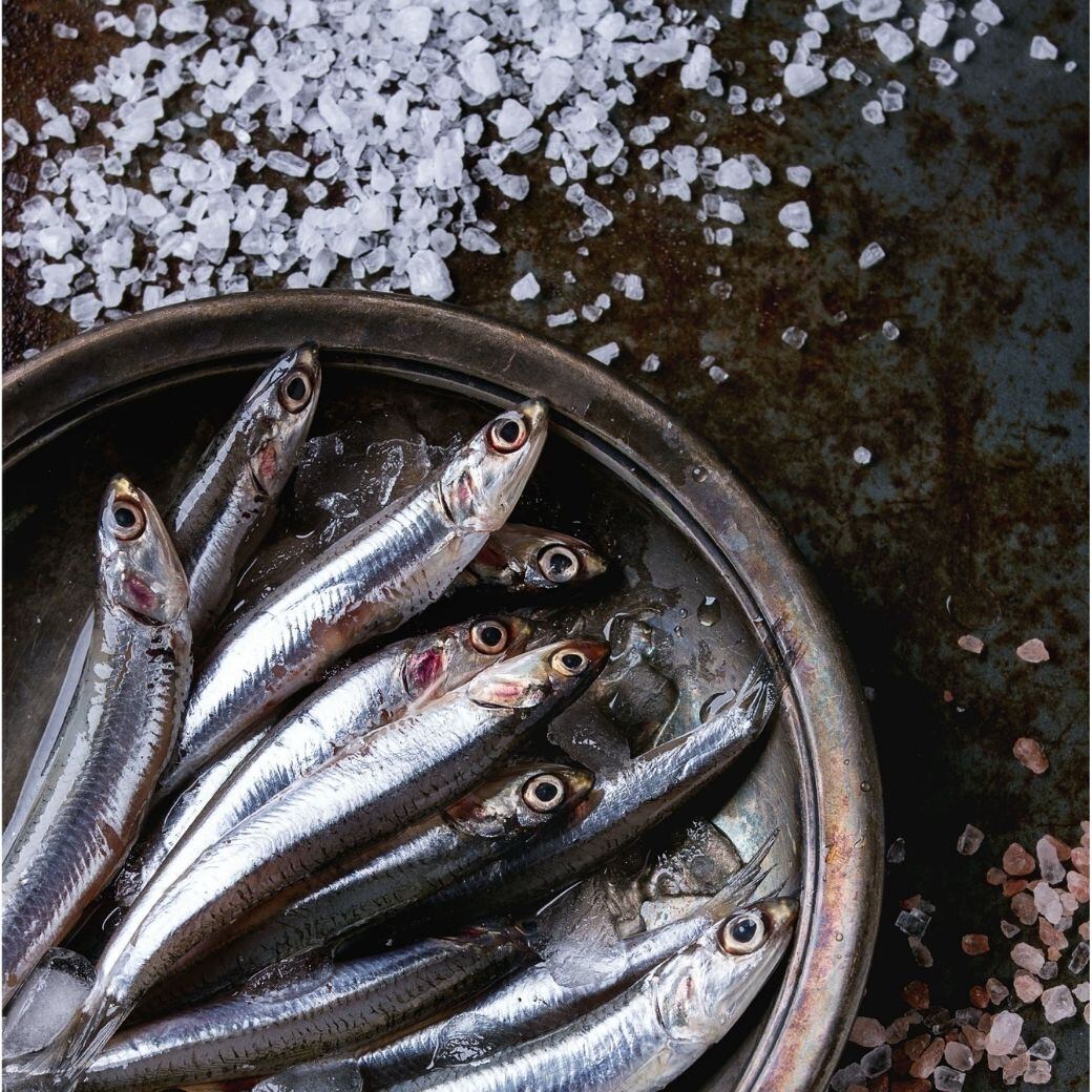 四代目醗酵職人/【2017年製造 生揚げ醗酵魚醤】~2017年に仕込みました。天日塩とイワシによる海の醗酵/210g