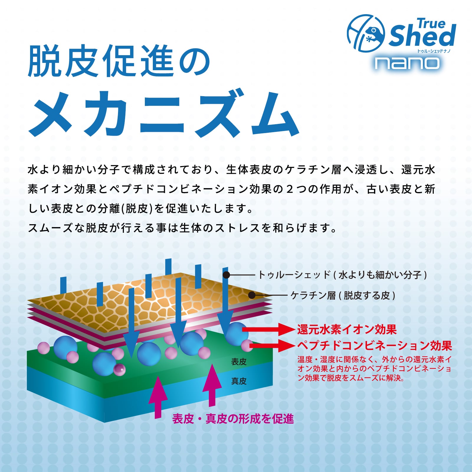 アリオンジャパンG.K　トゥルーシェッド　ナノ　100ml 4本セット トゥルーシェッド ナノ / True Shed nano | ARION JAPAN G.K STORE