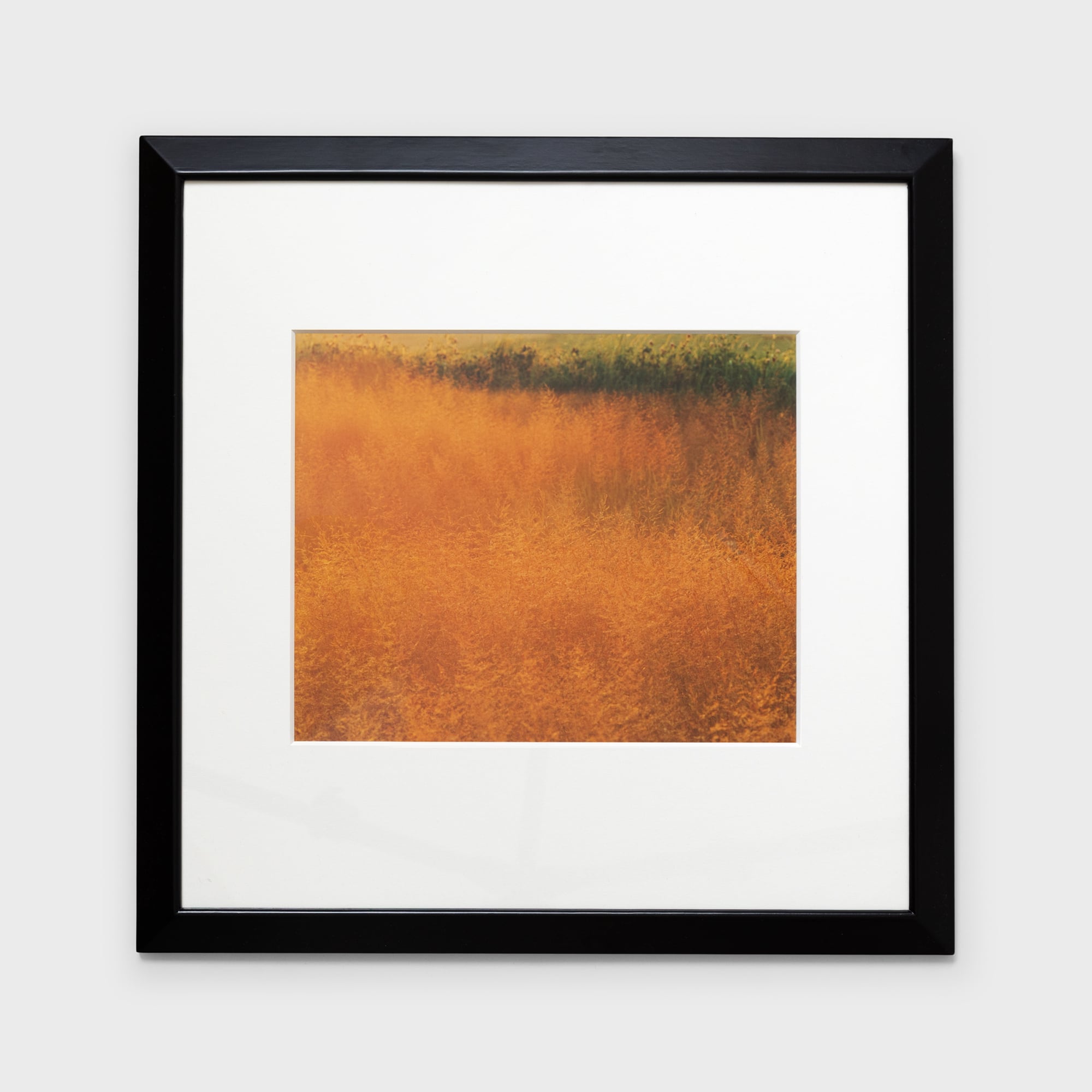 前田真三額装写真「秋の彩り」黒木額〈展示品〉 | 拓真館 TAKUSHINKAN