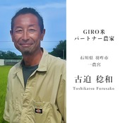 【新米】【石川県産】一農宮「はたはったん」5kg　-栽培期間中、農薬・化学肥料不使用-