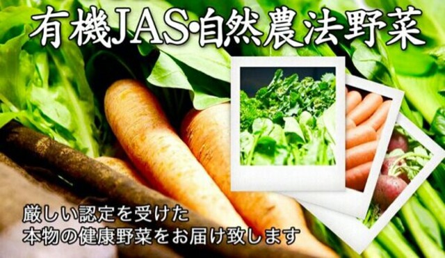 大山山麓旬野菜10-14品セット