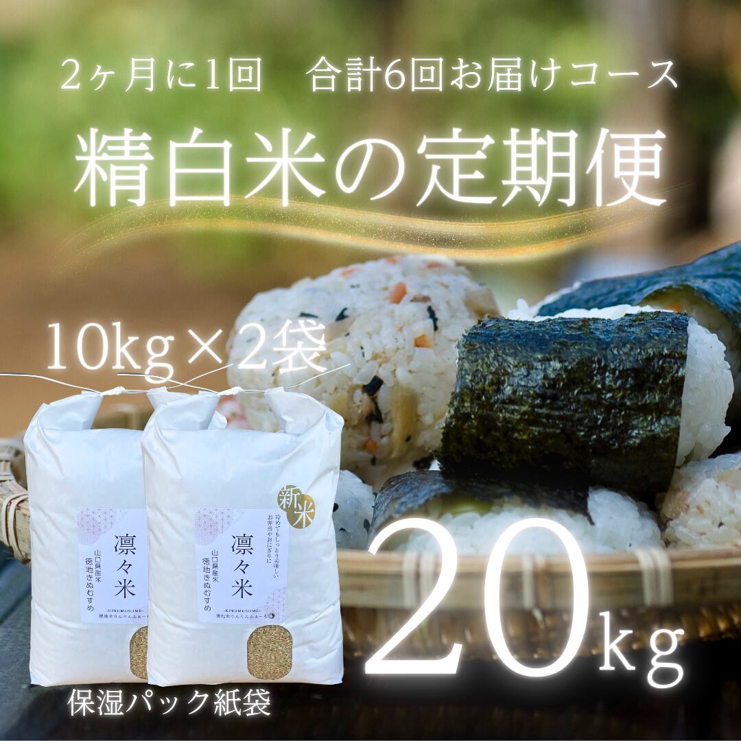 送料込み 精米済み 白米 20kg 6年度産 佐賀県産米 さがびより