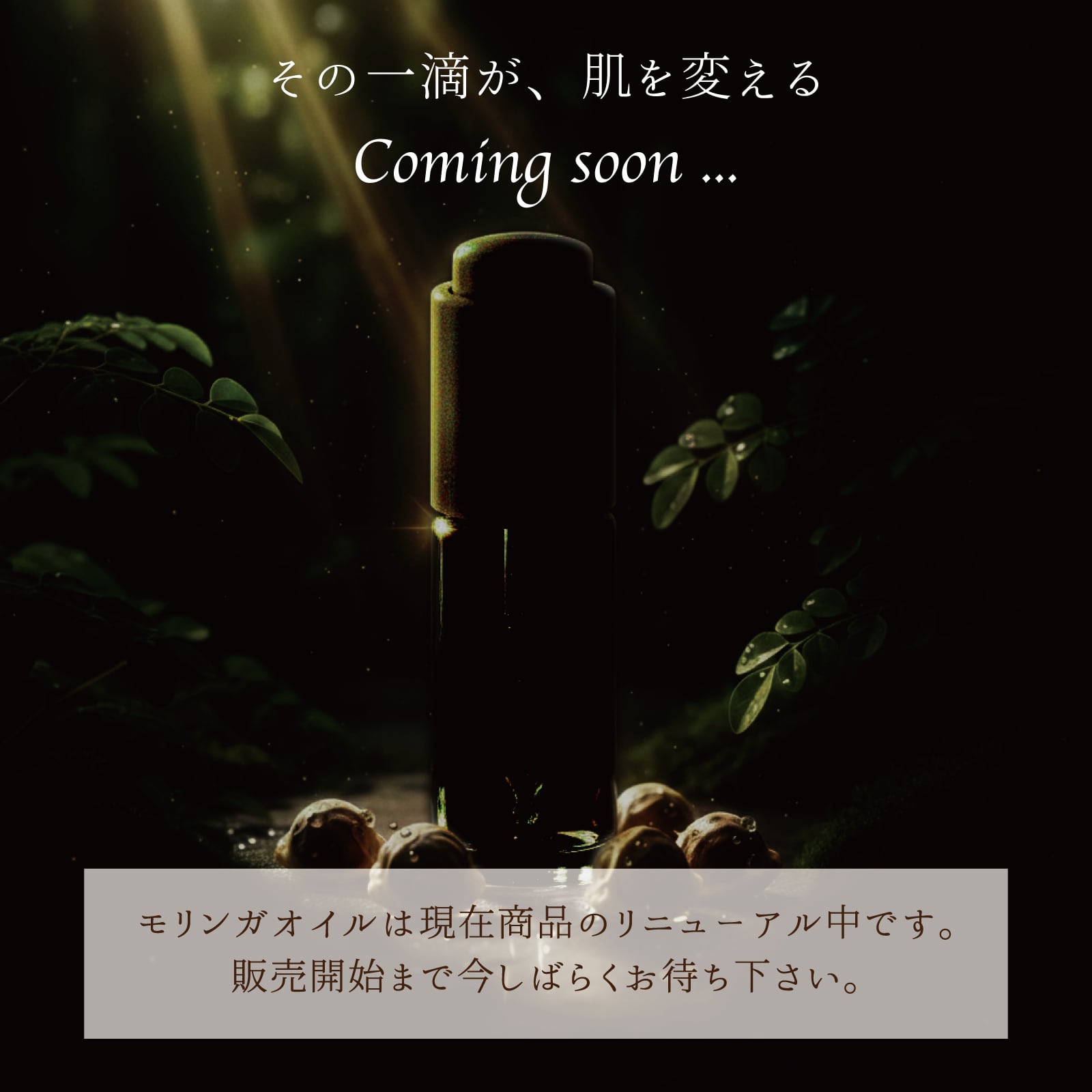 ☆リニューアル中☆Rescueモリンガシード100%オイル(30mL) | 本然農園