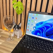 \ 公式ショップ限定価格❣️/ 準美品《最新モデル》VAIO Pro PK 第11世代 メモリ8GB SSD256GB FHD ノートパソコン オフィス付き 安心サポート&3ヶ月保証付き