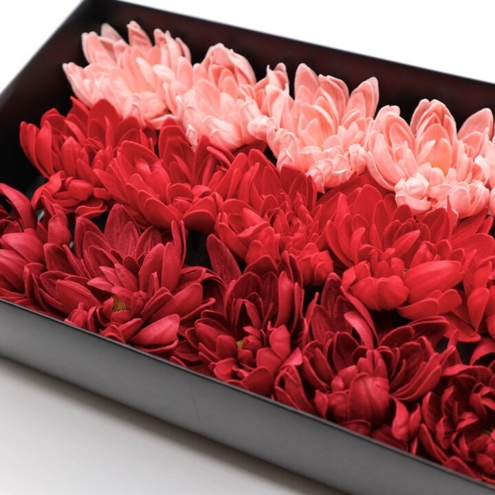 ダリアD-MIX2赤,ピンク(15輪入り)