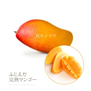 【紅キンコウ】なめらか＆激レア超希少！
