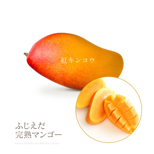 【紅キンコウ】なめらか＆激レア超希少！