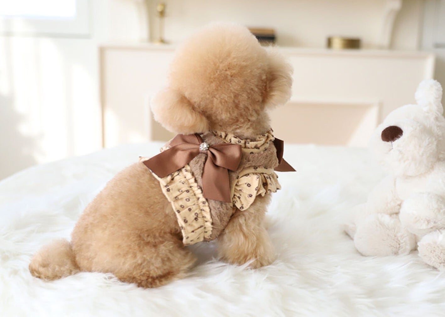 高級犬服 新品 cozy n Fox Fur Harness ファーハーネスm 即納【COZY N】Fur Harness＋Leash《4color》 | haneulpet