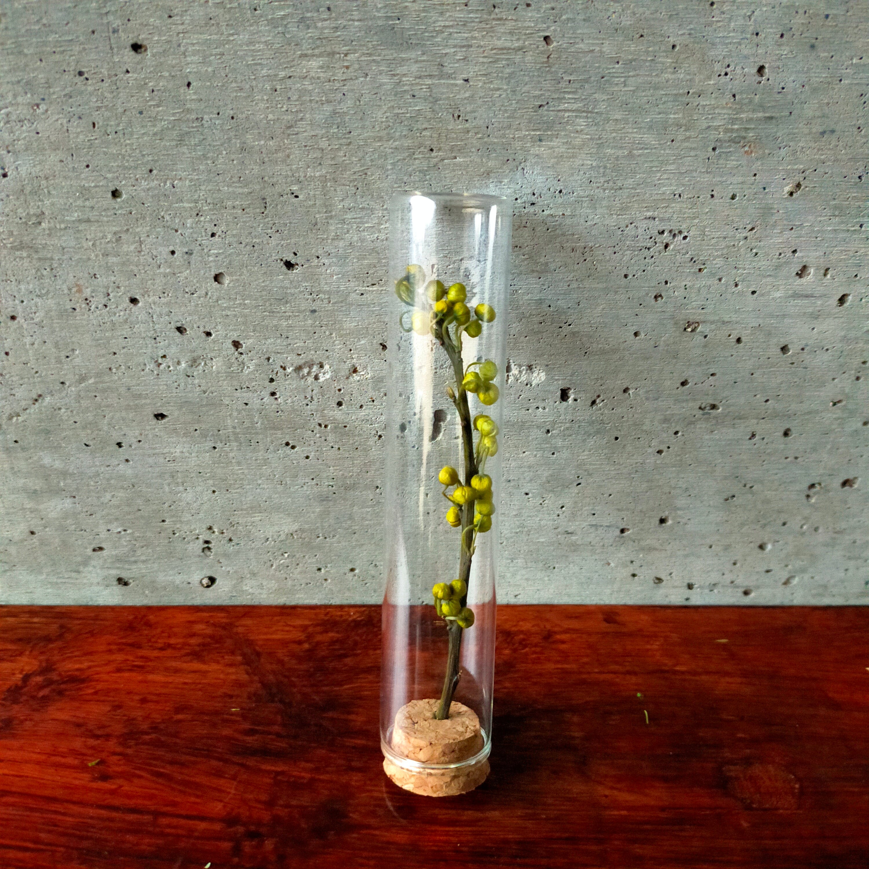 "凛”テストチューブ入りドライフラワー【"RIN" Dried Flowers in Test Tube 】