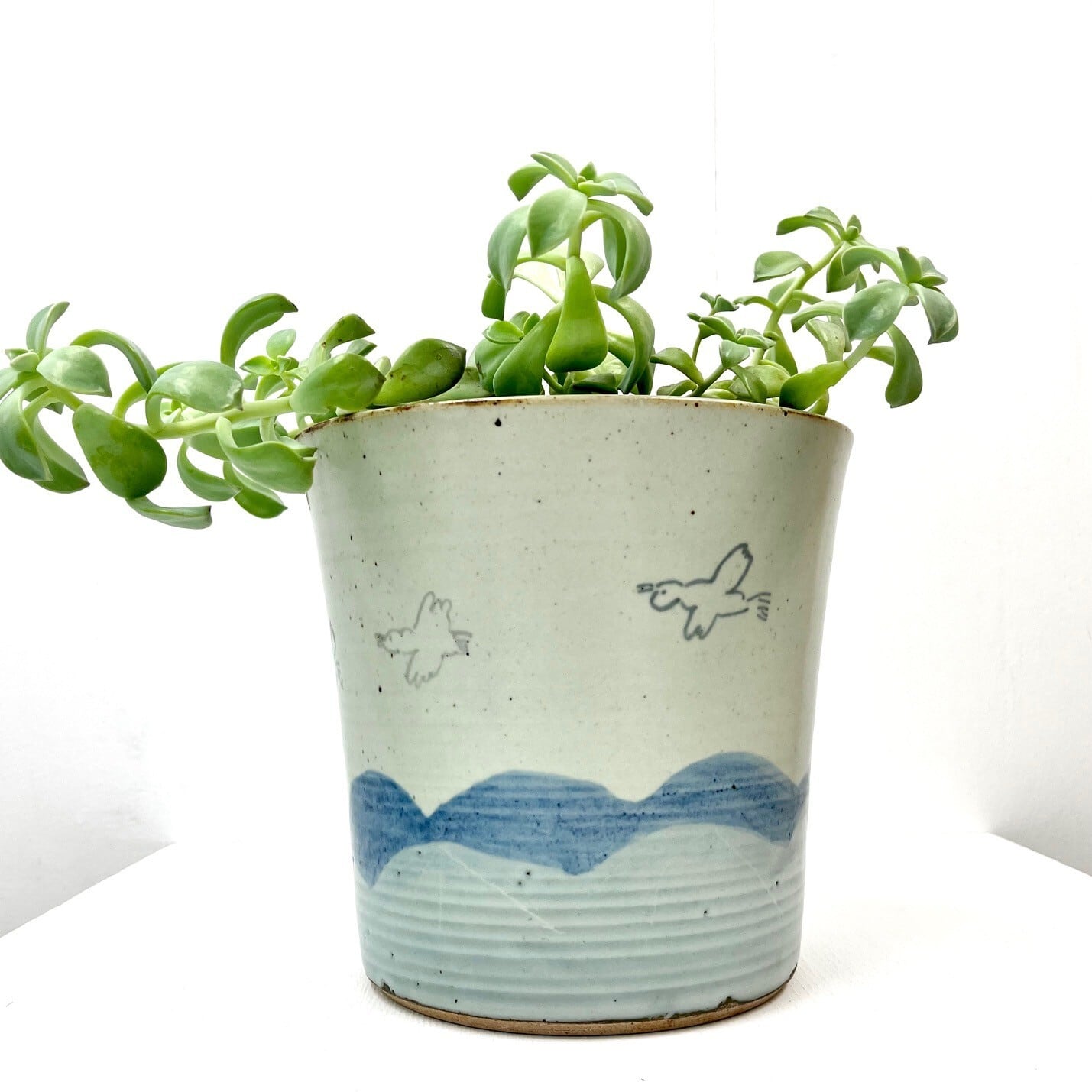 ちえちひろ / 渡り鳥 植木鉢カバー | new pure plus