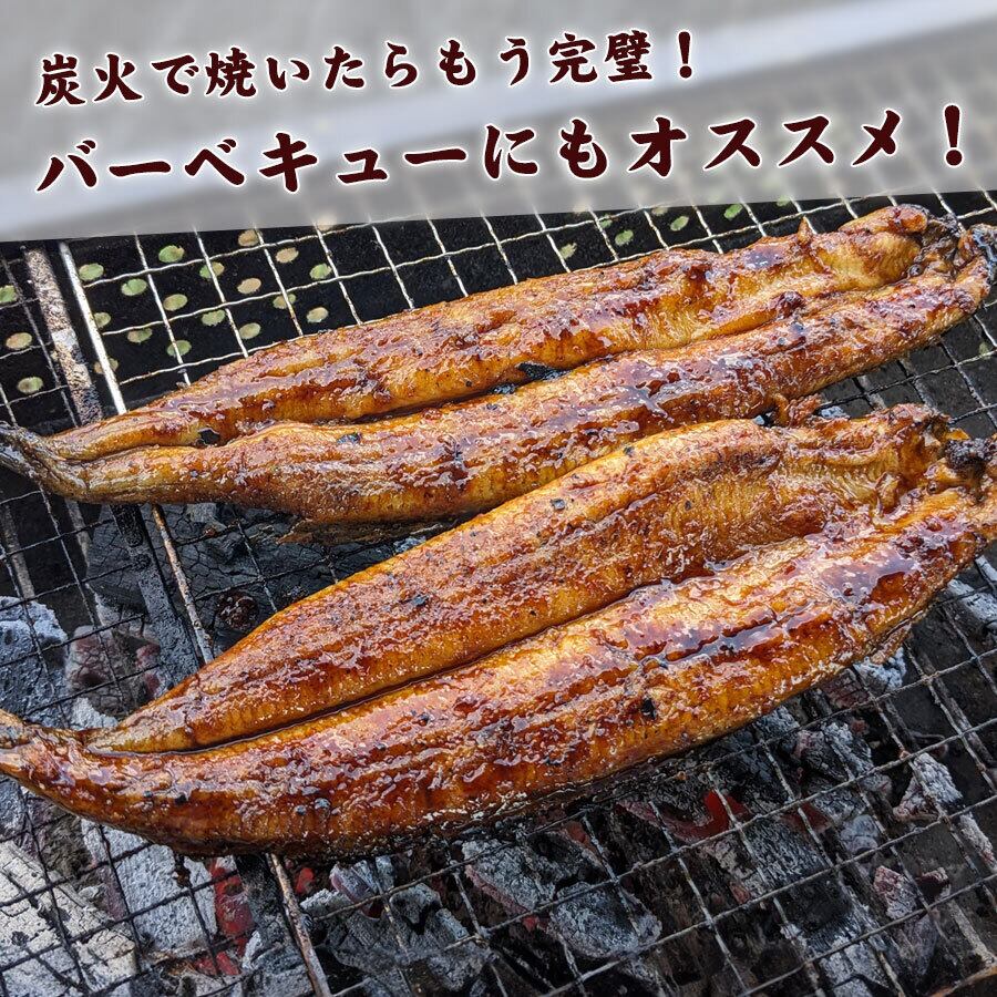 炭火焼きうなぎ】 国産鰻 4尾 三河一色産 送料込み‼︎ 【公式通販】