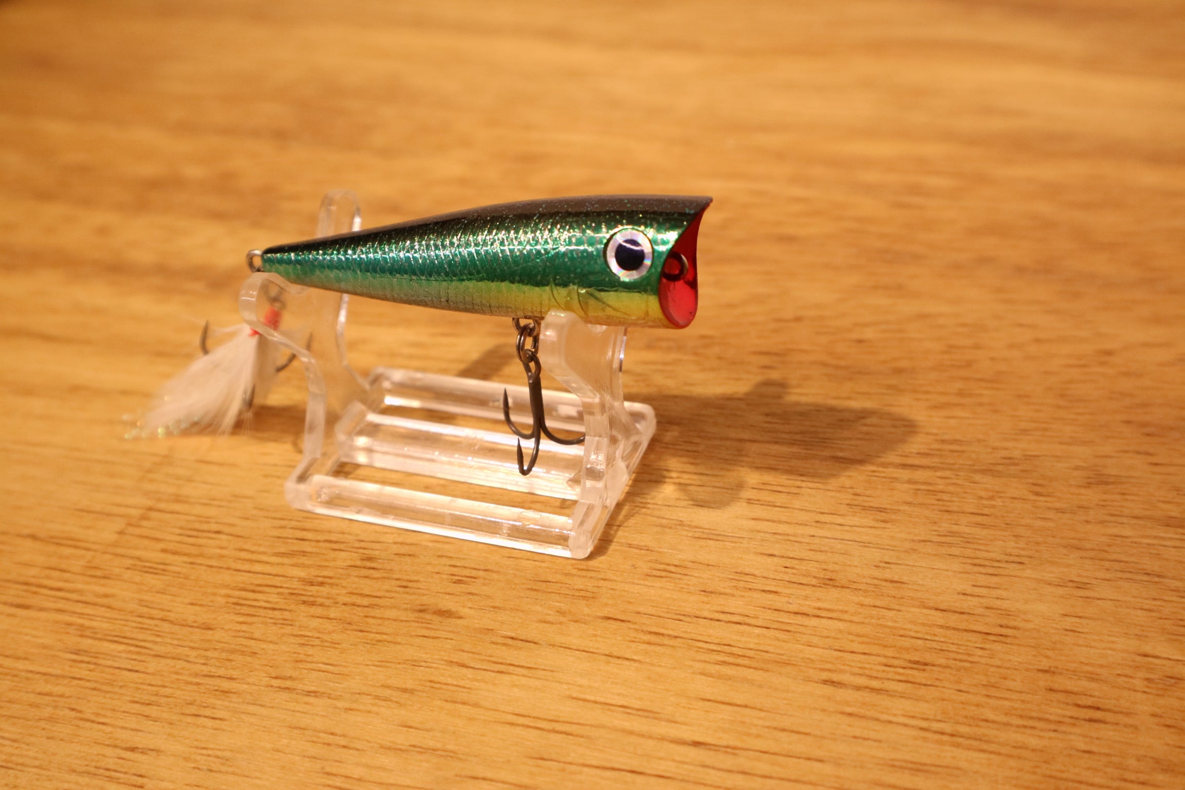 DAIWA (ダイワ) / T.D POPPER (ティーディーポッパー) | Tasf Tackle Mart