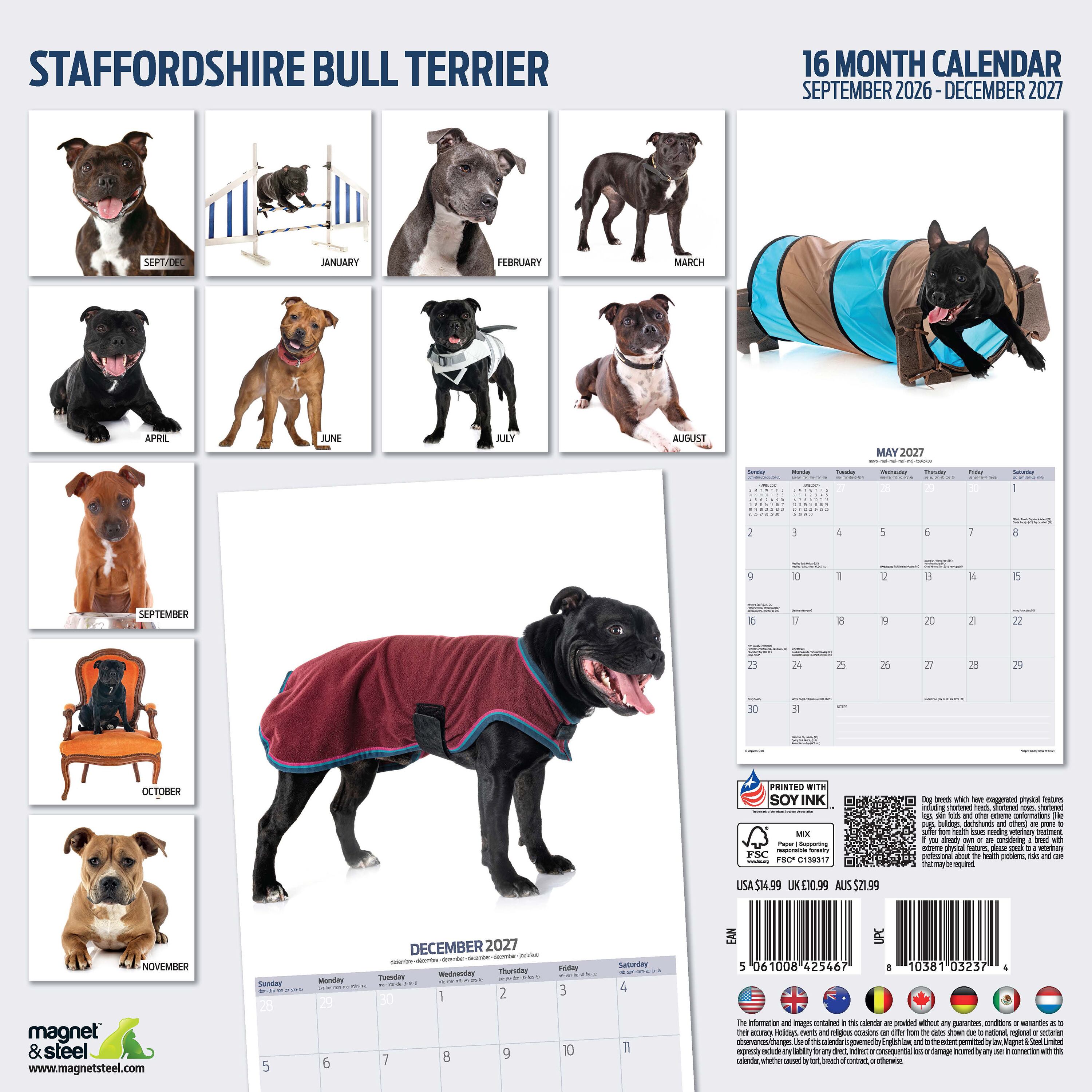 【2027年版】英国製犬種カレンダー【スタッフォードシャー・ブルテリア】 Modern 2027年版