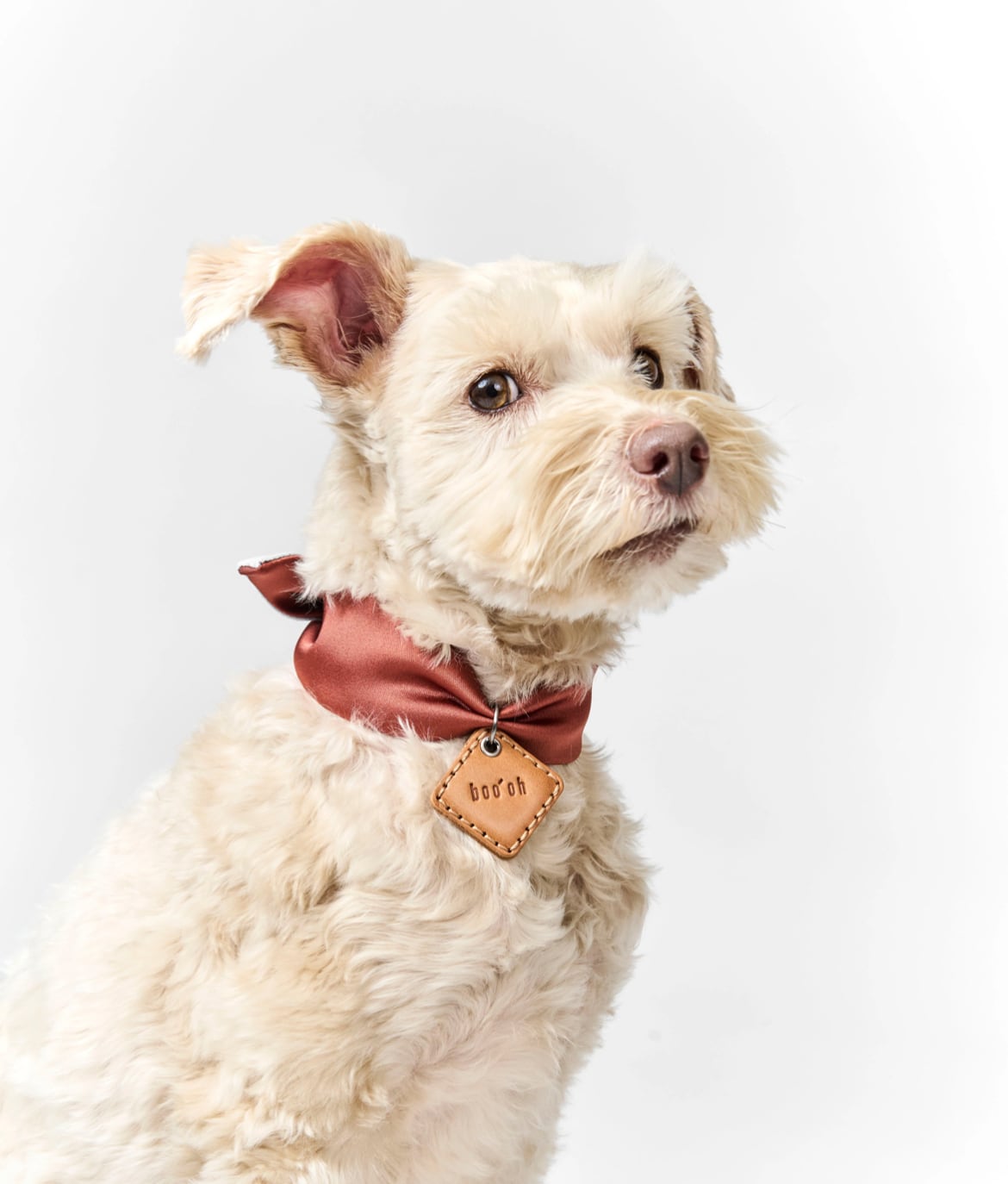 boo'oh Ray Harness - Camel | ote.