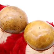 フラダンス ウリウリ マラカス 小物 レッド系 楽器 一体型 赤 黄 茶 羽根 鮮やか 舞台 イベント ステージ 民族舞踏  ダンス小物 イエロー系 ブラウン系