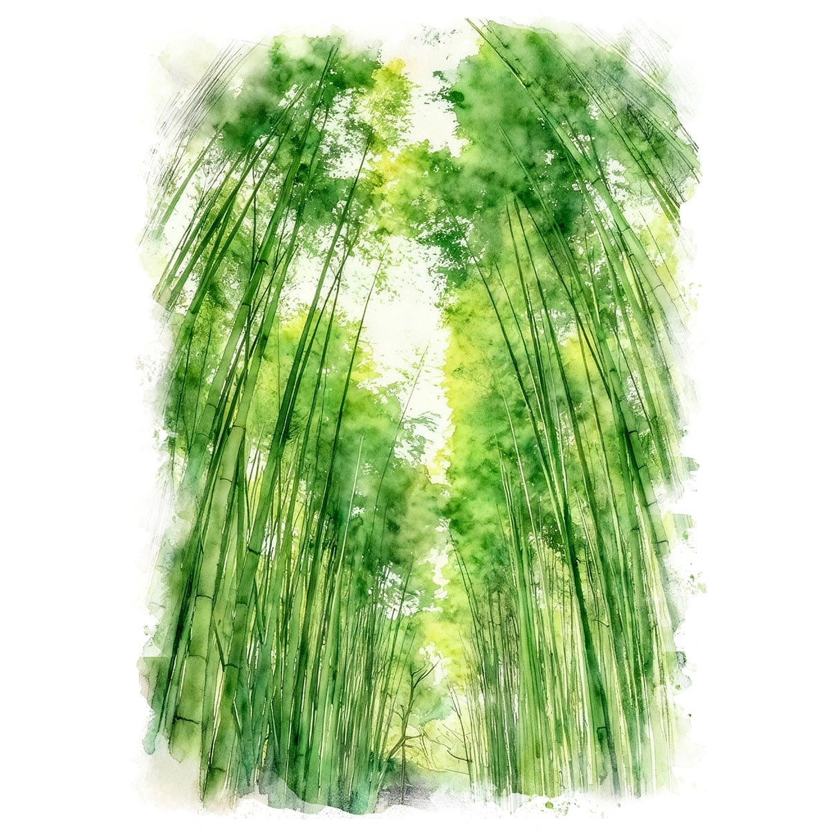 絵画(風景画) 日本 京都府 嵐山 竹林の散策路 インテリアアート額付き 水彩画・油絵調 WAT1185