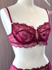 フランボワーズ ワイヤーブラジャー&ショーツ 32C&0 リズシャルメル