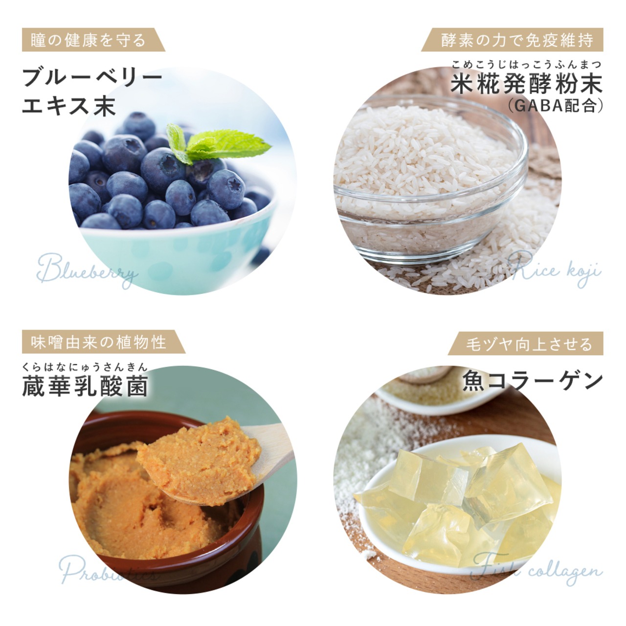 mofukuma®️ 3袋の画像03