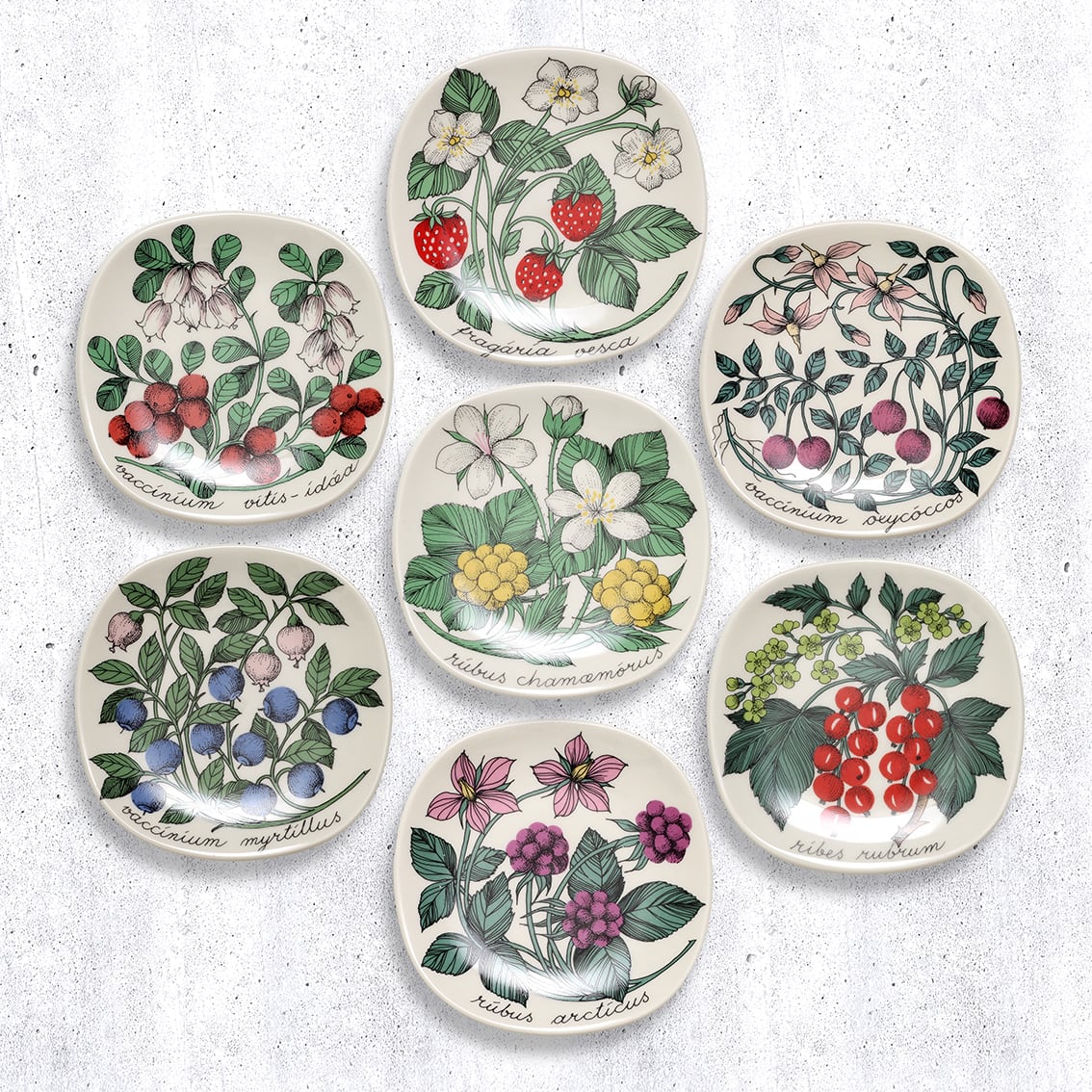 ARABIA アラビア Esteri Tomula エステリ・トムラ Botanica ボタニカ