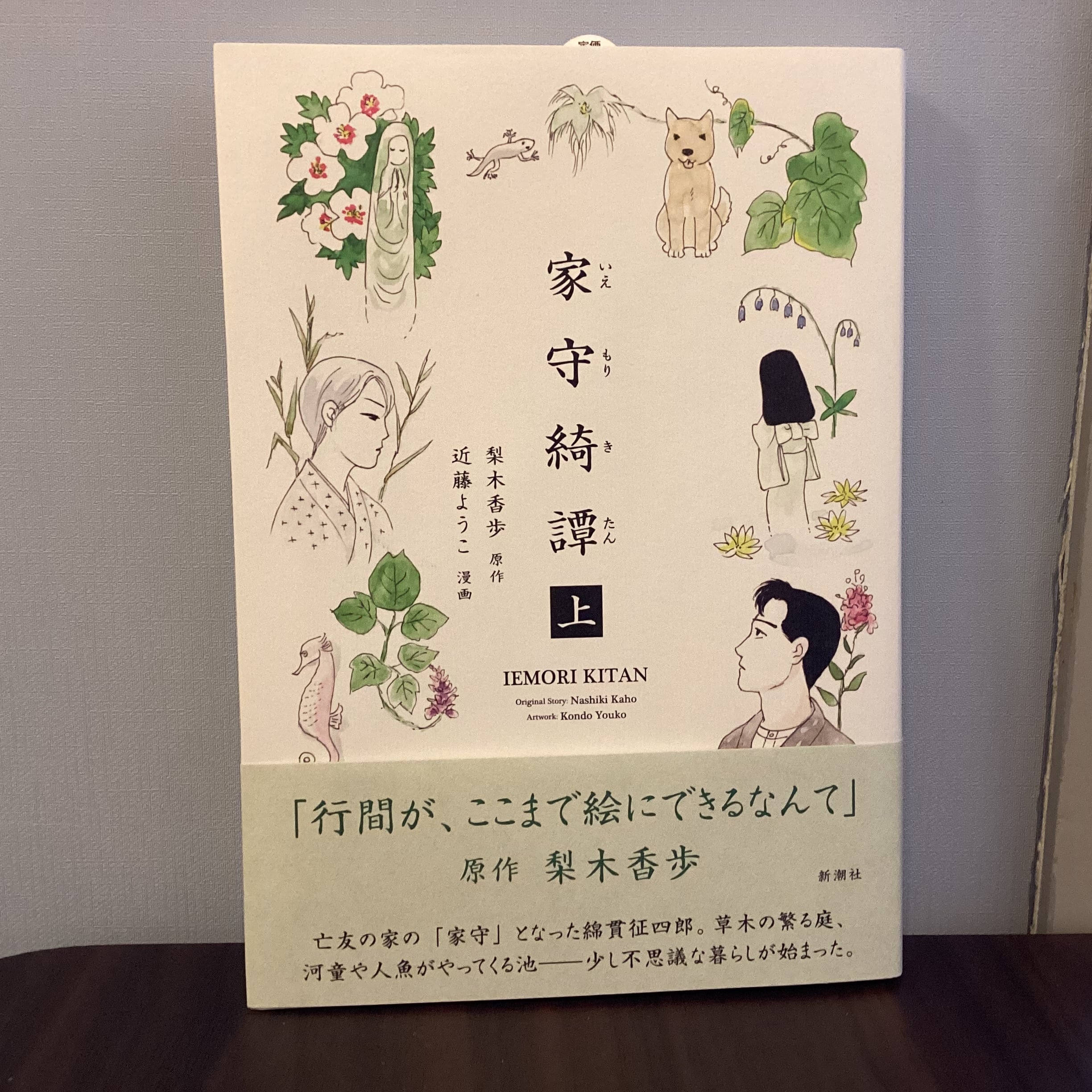 家守綺譚 上／近藤ようこ：漫画 、梨木香歩：原作 | こもれび書店