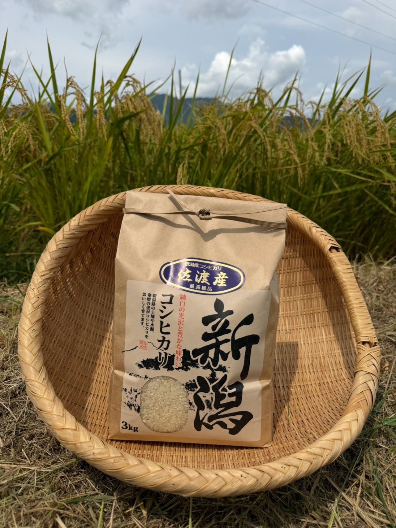 令和8年佐渡産コシヒカリ 3㎏・画像2