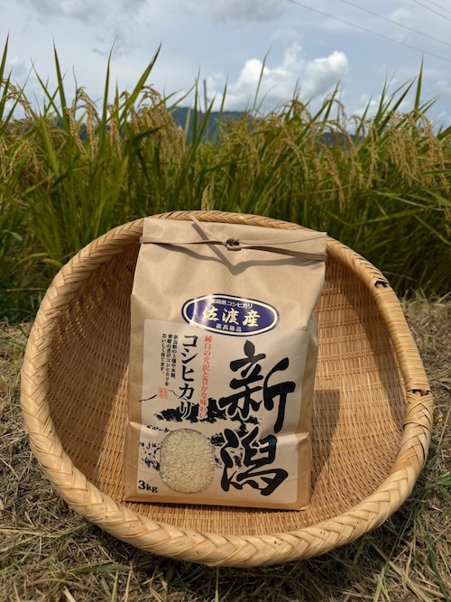 令和8年佐渡産コシヒカリ 3㎏・画像2