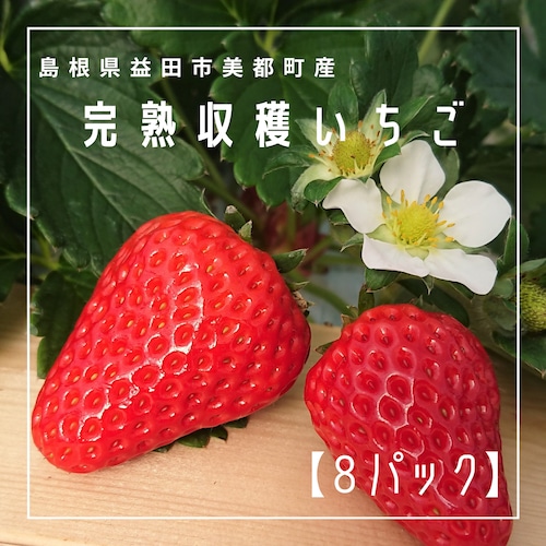 【8パックセット】完熟 美都イチゴ350g×2パック！×4箱