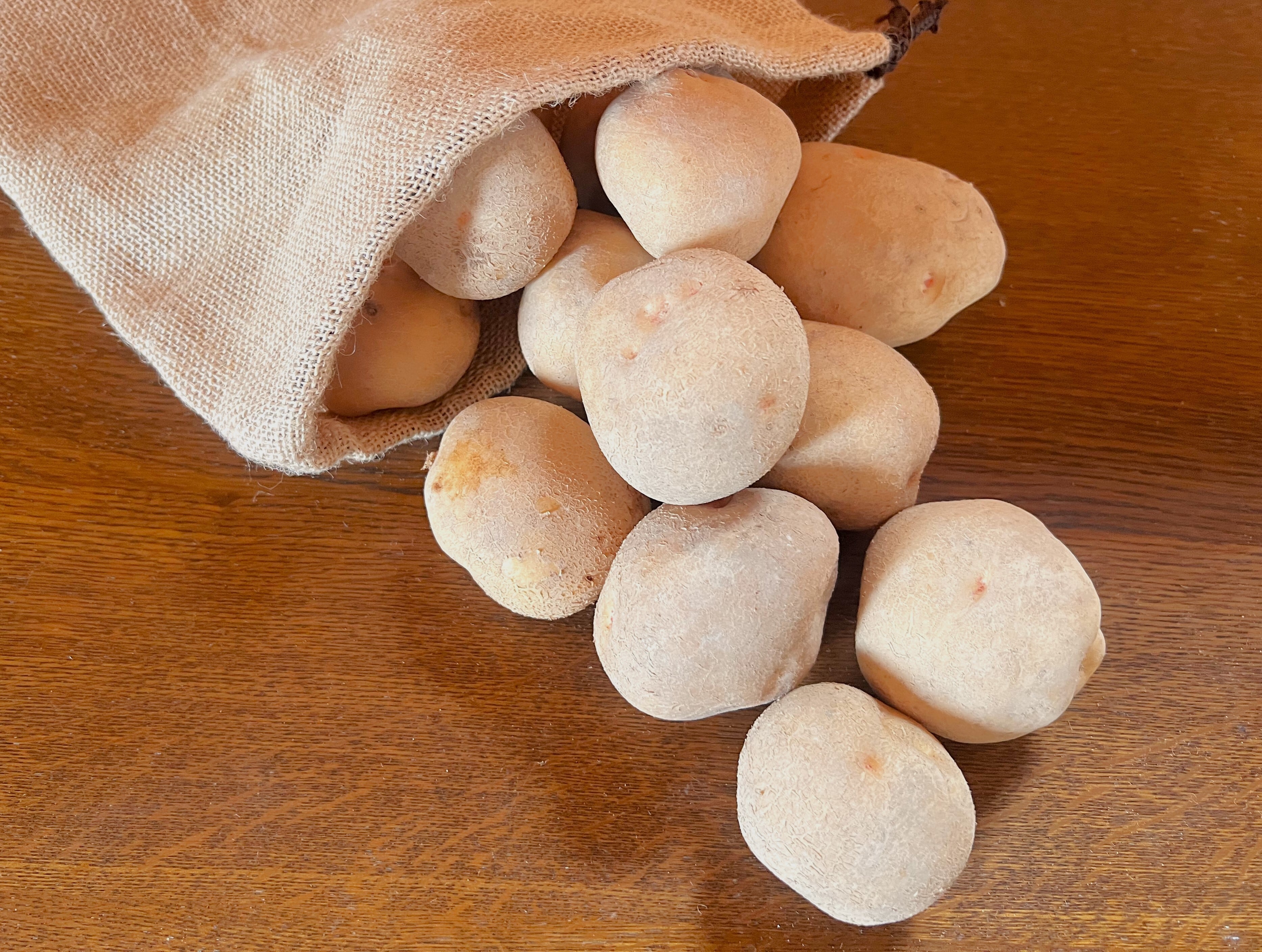 秋冬季】北海道産じゃがいも きたかむい 5kg | BieiGreenStore
